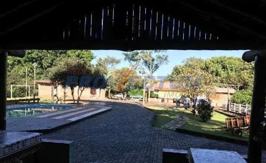 sítio - Jardim Independência - Campinas