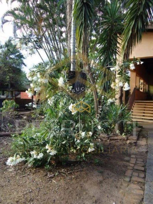 Chácara Residencial à venda, Jardim Martinelli (Sousas), Campinas - CH0157.