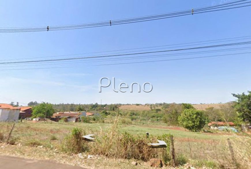 área - Vila Hollândia - Campinas
