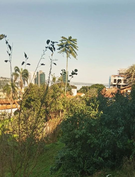 Terreno no bairro Cristal
