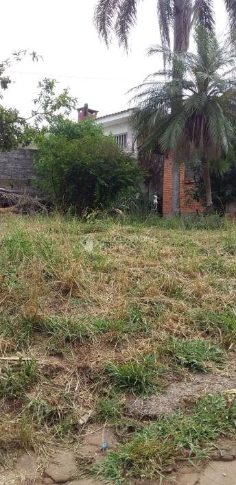 Terreno no bairro Cristal