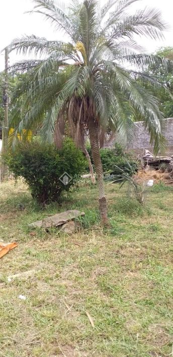 Terreno no bairro Cristal