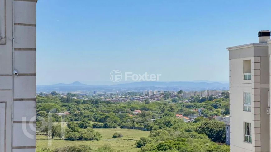 Apartamento à venda Avenida Protásio Alves, Morro Santana - Porto Alegre