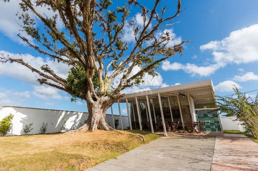 Terreno/Lote Residencial à venda 112.48M² Lomba do Pinheiro Porto Alegre - RS