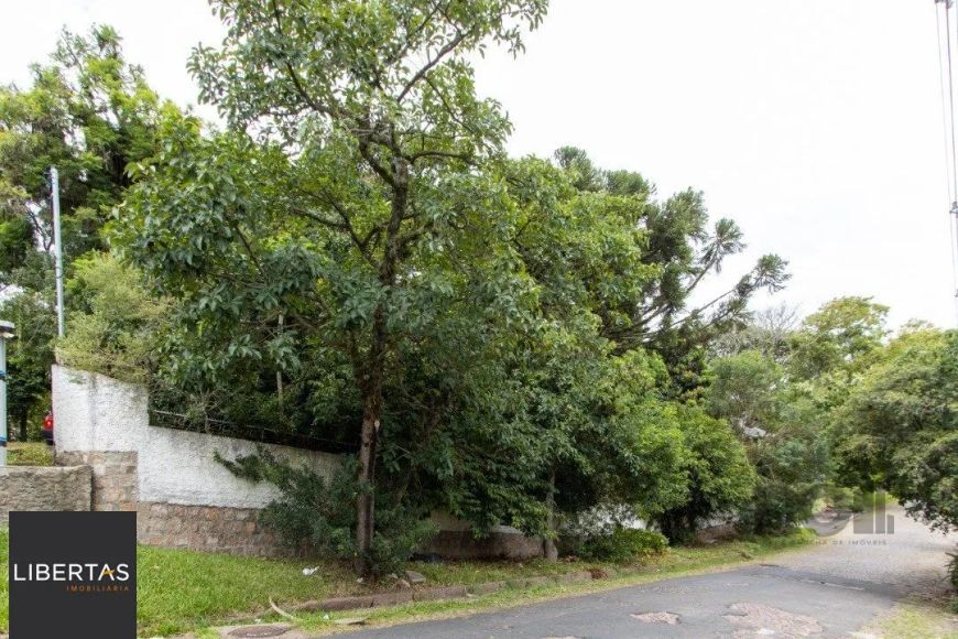 Terreno, 363.78 m², em Vila Conceição, em região elevada e livre de inundações