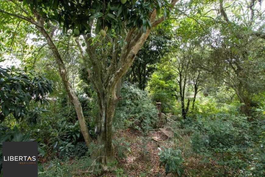 Terreno, 363.78 m², em Vila Conceição, em região elevada e livre de inundações