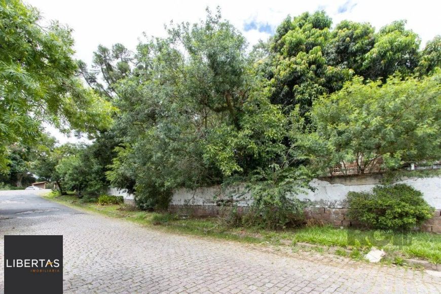 Terreno, 363.78 m², em Vila Conceição, em região elevada e livre de inundações