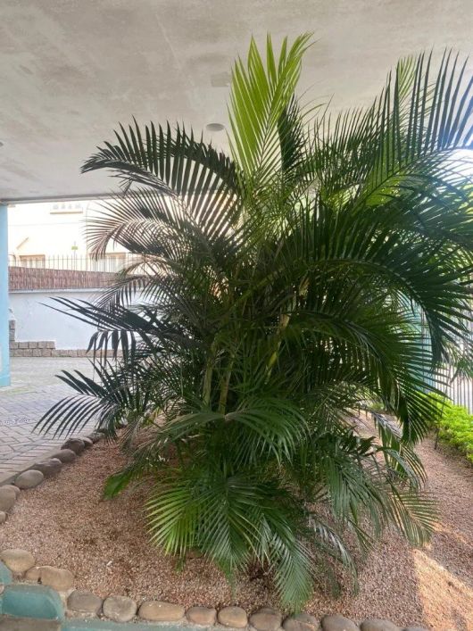 Frente andar alto. Maravilhoso apartamento, próximo a todos os recursos do bairro, 3 dormitórios (1