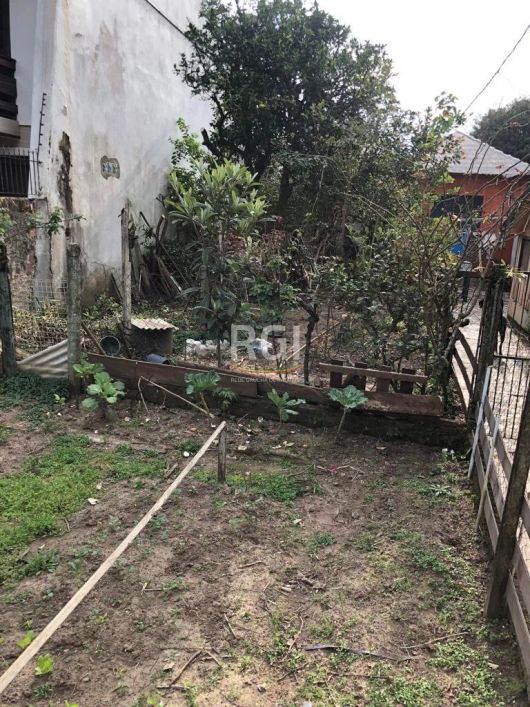 Excelente Terreno 319,00 m² medindo 11 x 29 a uma quadra da Campos Velho. ( Com chale de Madeira e G