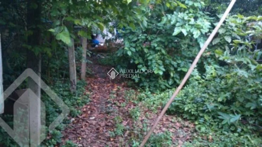 Terreno na rua Alberto Silva