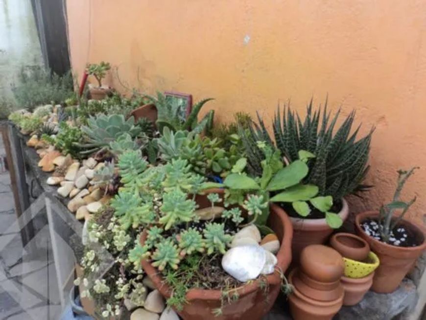 Terreno no bairro Partenon