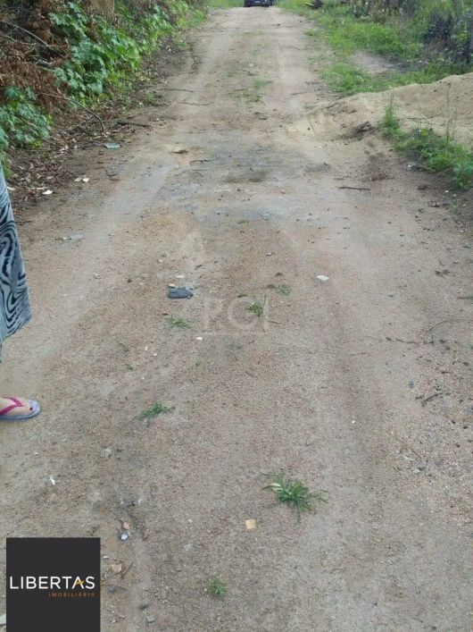 Terreno à venda Vila Nova Porto Alegre/RS