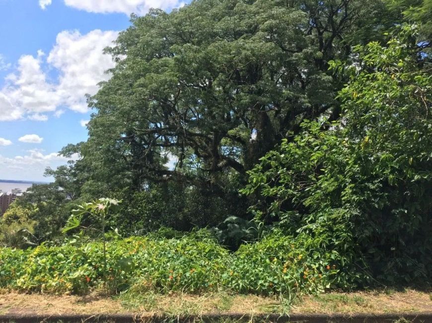 Terreno com otima localização, proximo ao Setimo Céu, em declive medindo ,11x61,60= 670m²Vamos visit