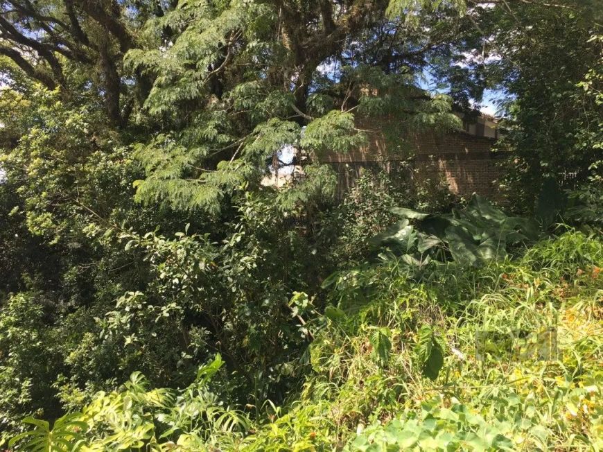 Terreno com otima localização, proximo ao Setimo Céu, em declive medindo ,11x61,60= 670m²Vamos visit