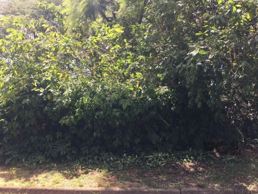 Terreno com otima localização, proximo ao Setimo Céu, em declive medindo ,11x61,60= 670m²Vamos visit