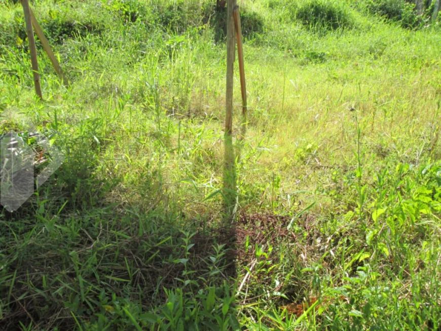 Terreno para Venda no bairro Cristal com 1056 m² de área total disponível.