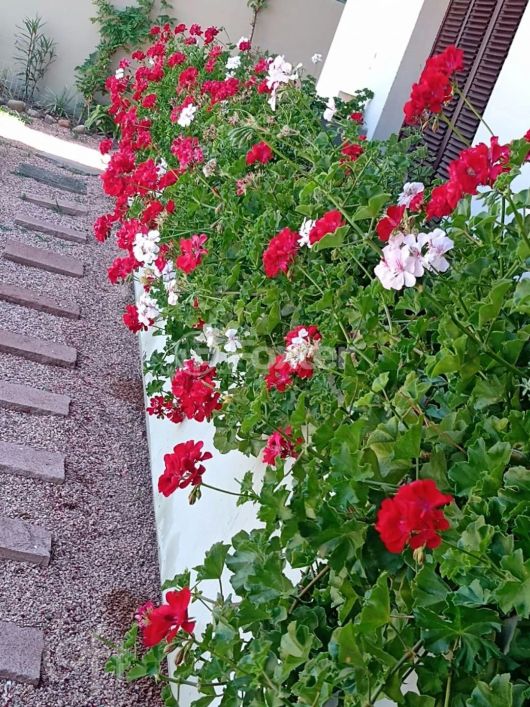 Casa em Condomínio à venda Rua Alcebíades Antônio dos Santos, Nonoai - Porto Alegre