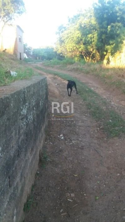 Terreno à venda no bairro Nonoai com área total disponível de 0 m².