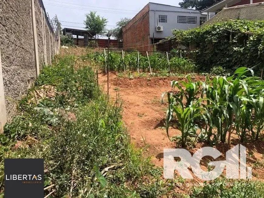 Terreno à venda Jardim Floresta Porto Alegre/RS