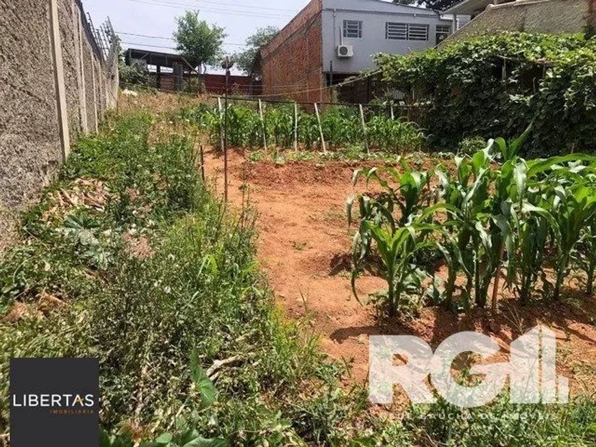 Terreno à venda Jardim Floresta Porto Alegre/RS