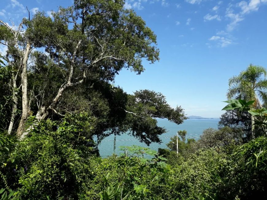 Terreno à venda no bairro Ipanema com 0 dormitórios/quartos e 0 m² de área útil.