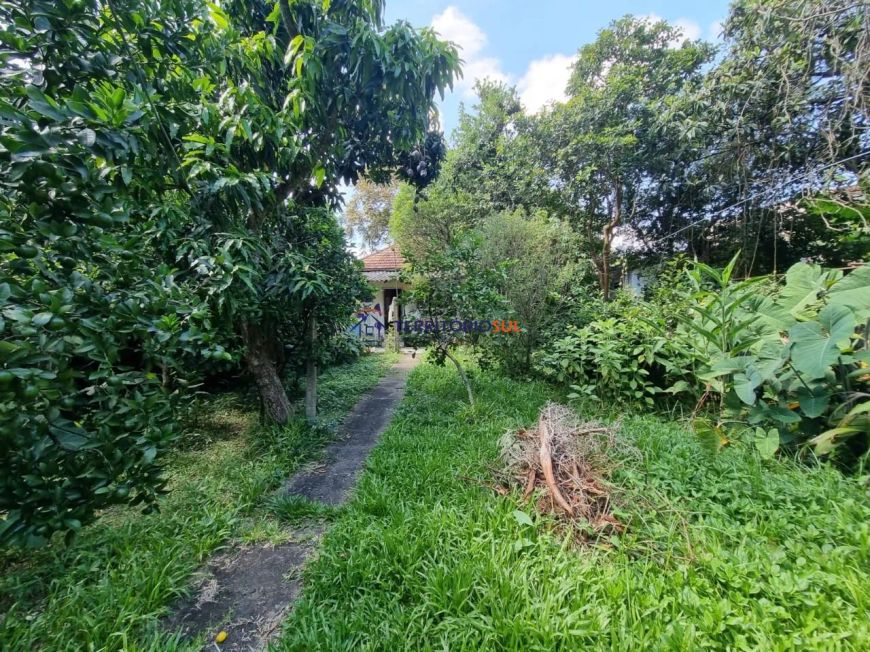 Terreno Plano 435m² Ipanema Proximo Guaíba
