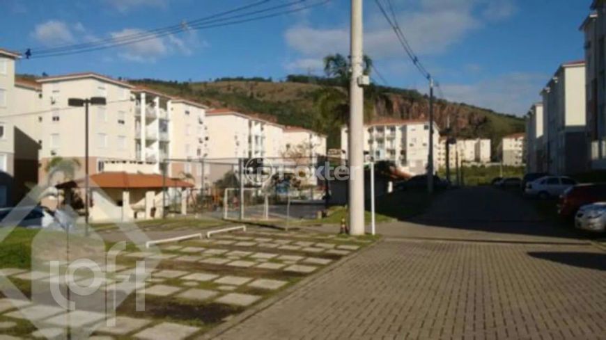 Apartamento à venda Rua Ney da Gama Ahrends, Morro Santana - Porto Alegre