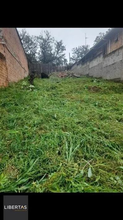 Terreno à venda Vila Jardim Porto Alegre/RS