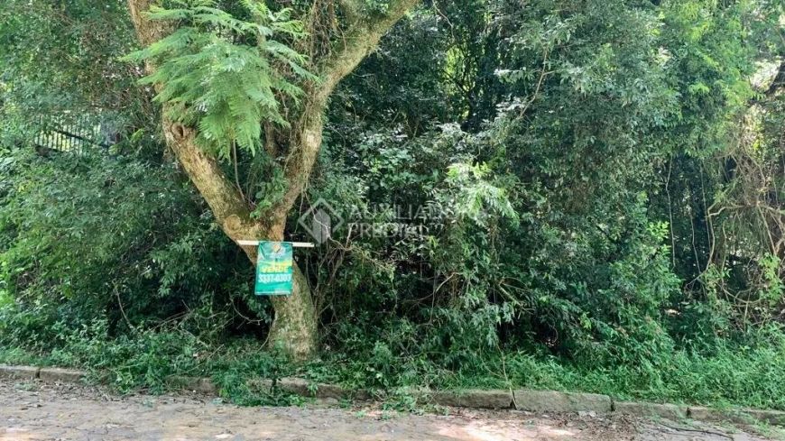 Terreno no bairro Teresópolis