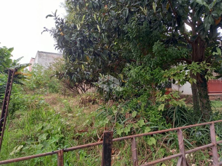 Terreno na Vila Ipiranga em Porto Alegre