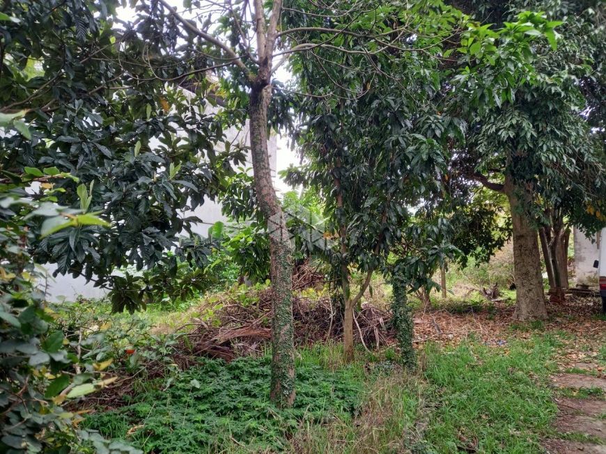 Terreno na Vila Ipiranga em Porto Alegre