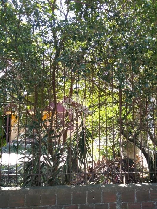 Chalé de madeira em terreno de 11x40 comercial/residencial