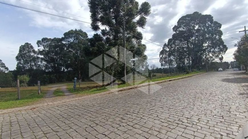 Lote/Terreno em SAO CIRO