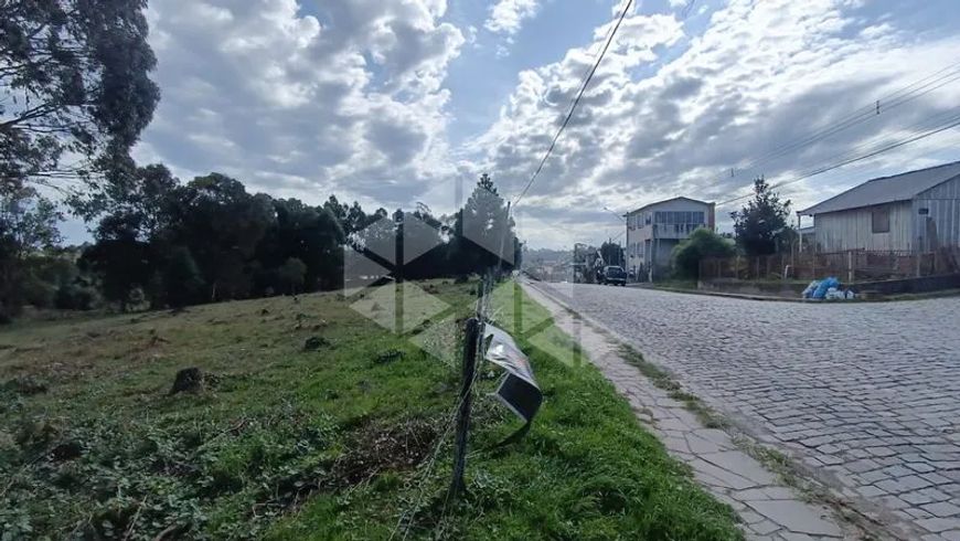 Lote/Terreno em SAO CIRO