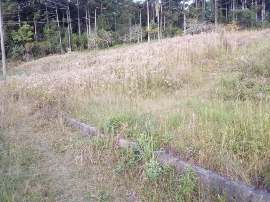 Terreno Galópolis Caxias do Sul