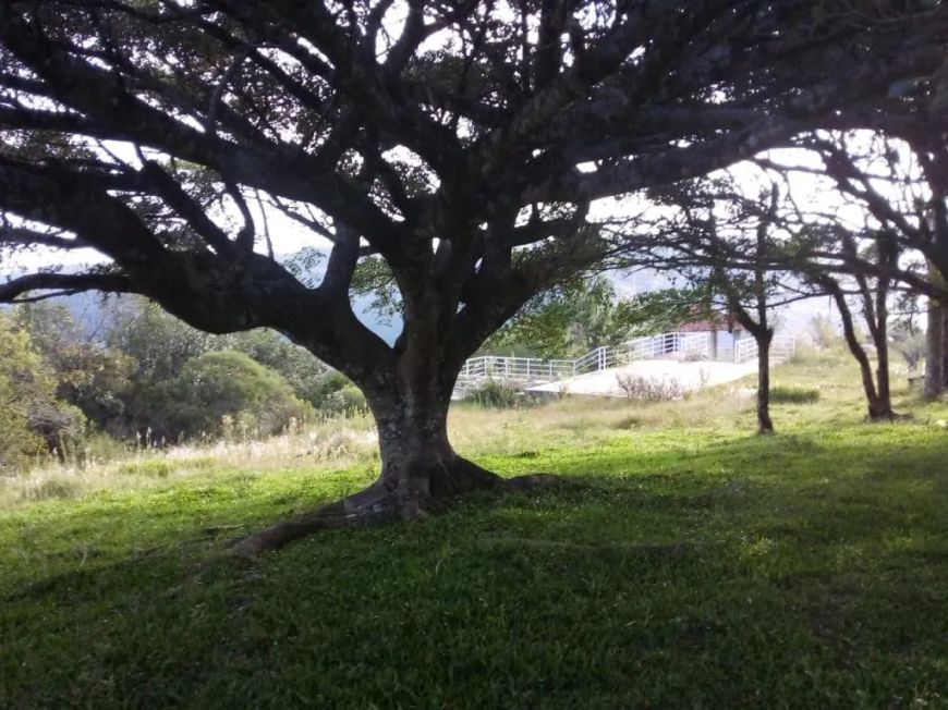 Terreno Galópolis Caxias do Sul