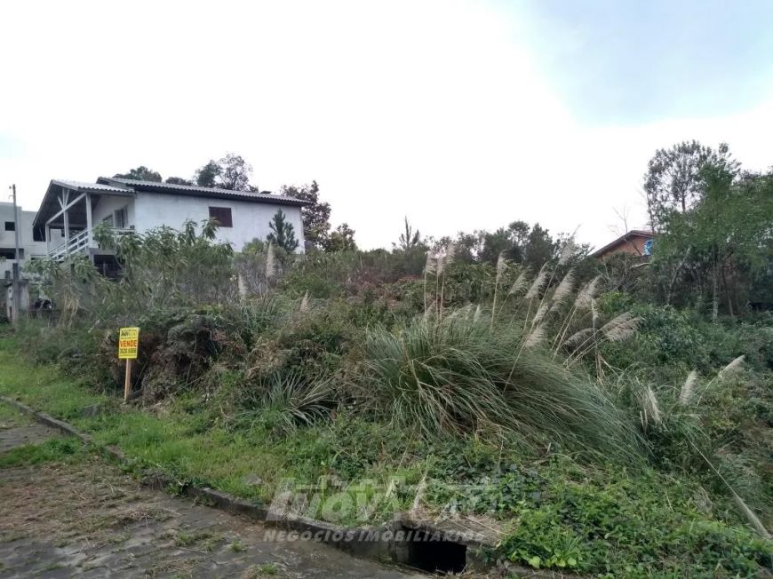Terreno São Luiz Caxias do Sul
