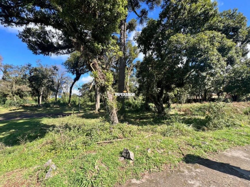 Terreno no Vila Verde