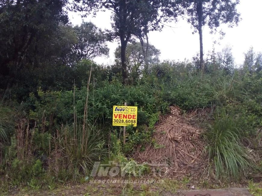 Terreno São Luiz Caxias do Sul