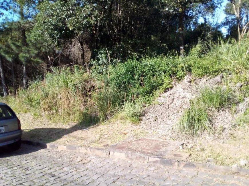 Terreno São Luiz Caxias do Sul