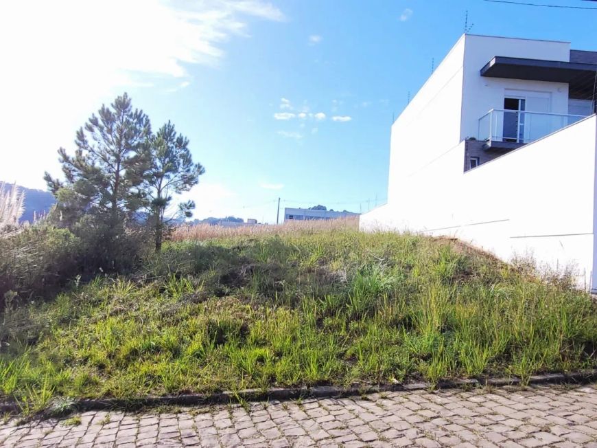 CAXIAS DO SUL - Terreno Padrão - MONTE BÉRICO