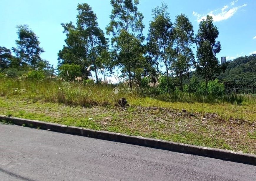 CAXIAS DO SUL - Terreno Padrão - Santa Catarina
