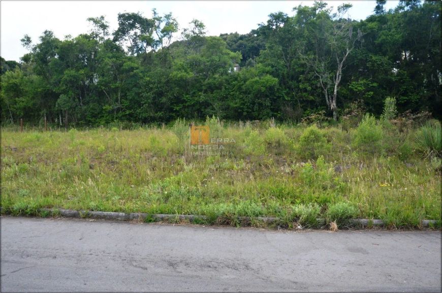 Terreno 360m² no São Luiz em Caxias do Sul- RS