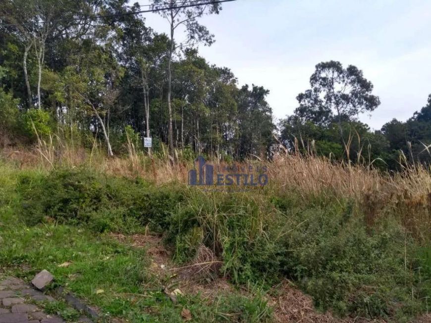 Terreno à venda, 437 m² por R$ 275.000,00 - Santo Antônio - Caxias do Sul/RS