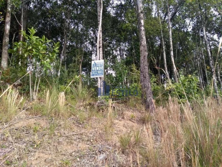 Terreno à venda, 437 m² por R$ 275.000,00 - Santo Antônio - Caxias do Sul/RS