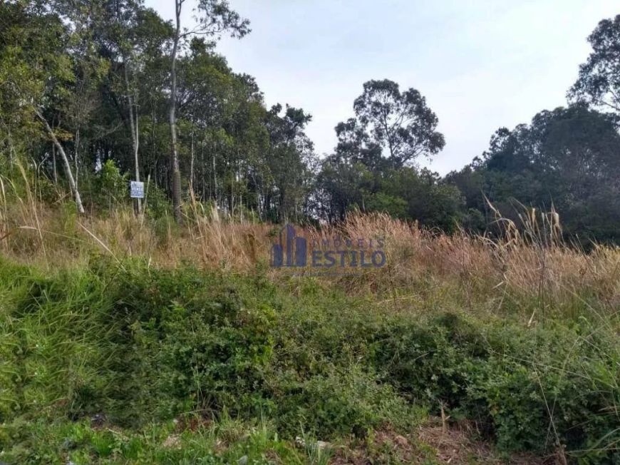 Terreno à venda, 437 m² por R$ 275.000,00 - Santo Antônio - Caxias do Sul/RS