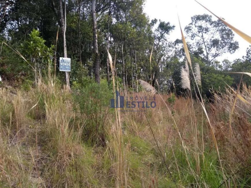 Terreno à venda, 437 m² por R$ 275.000,00 - Santo Antônio - Caxias do Sul/RS