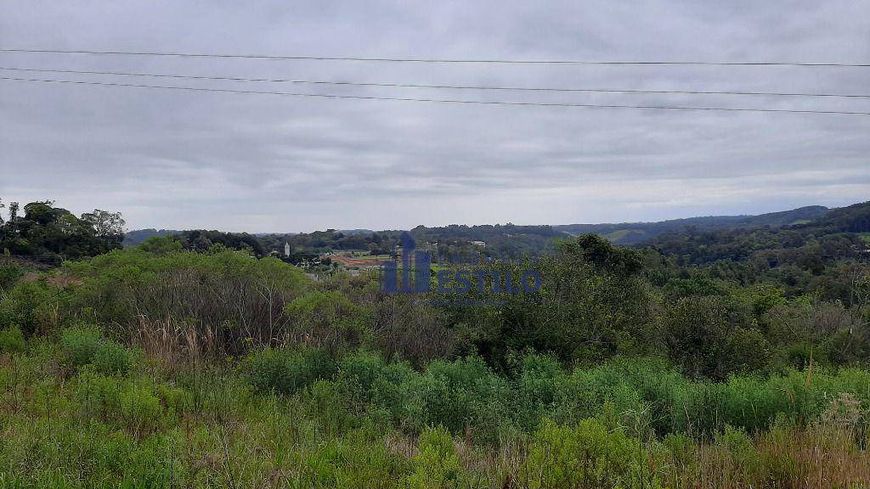 Terreno à venda, 550 m² por R$ 170.000,00 - Monte Bérico - Caxias do Sul/RS