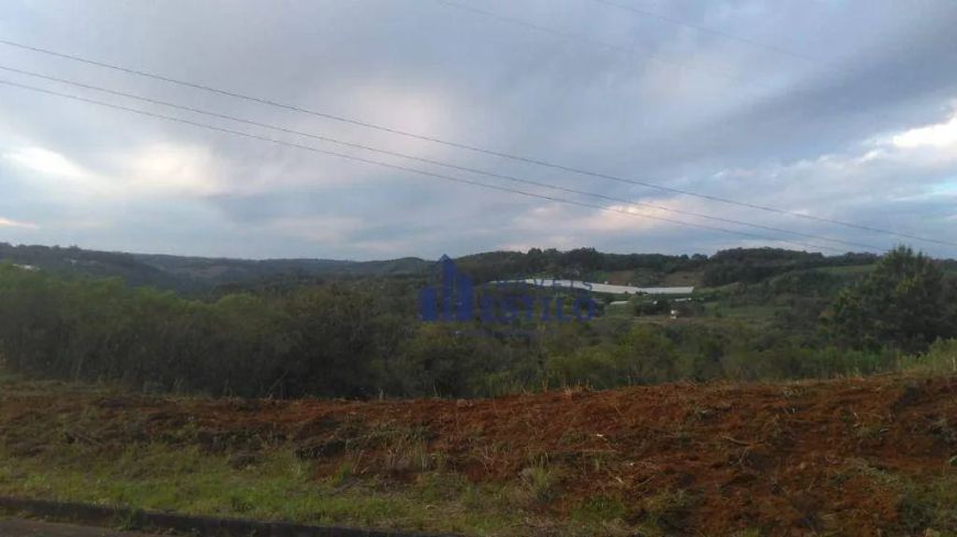 Terreno à venda, 550 m² por R$ 170.000,00 - Monte Bérico - Caxias do Sul/RS
