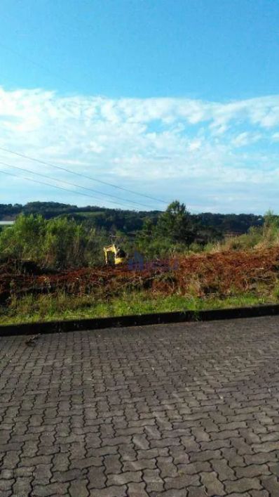 Terreno à venda, 550 m² por R$ 170.000,00 - Monte Bérico - Caxias do Sul/RS